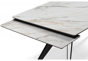 Керамический стол, Дарвин 160(220)х89 белый с прожилками gilt white / черный