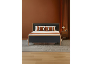 Кровать, Тхан 180х200 дуб крафт золотой / антрацит