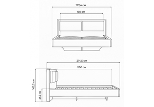 Кровать, Клауд 160х200 парящая дуб крафт золотой / антрацит