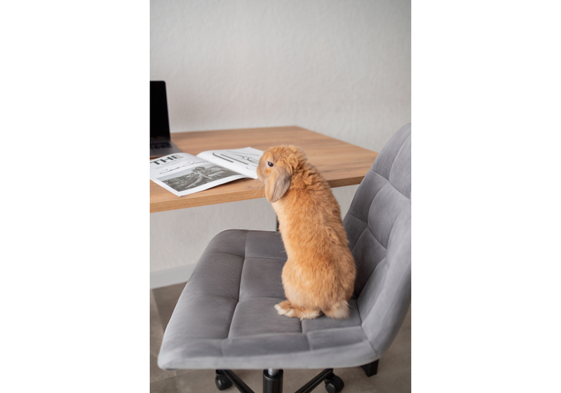 Стол деревянный, Лиман 140 х 80 дуб крафт золотой / черный матовый