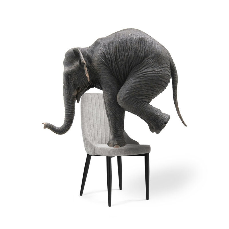 Стул на металлокаркасе, Kora black / gray