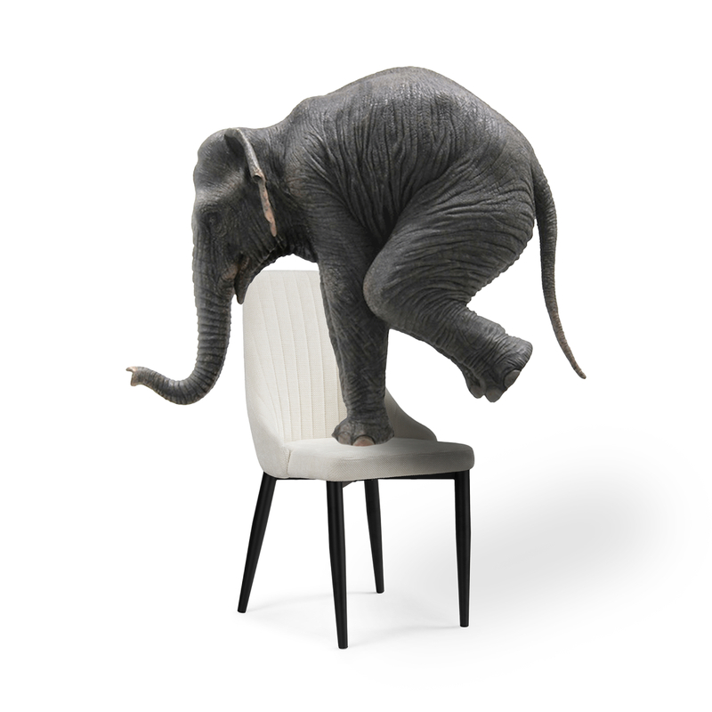 Стул на металлокаркасе, Kora white / black