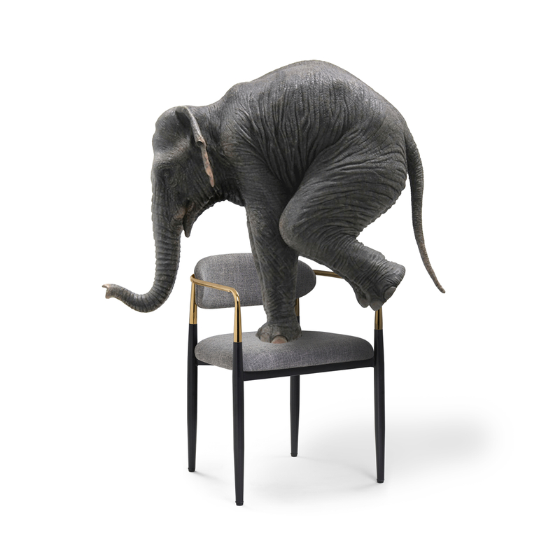 Стул на металлокаркасе, Lord gray / black / gold