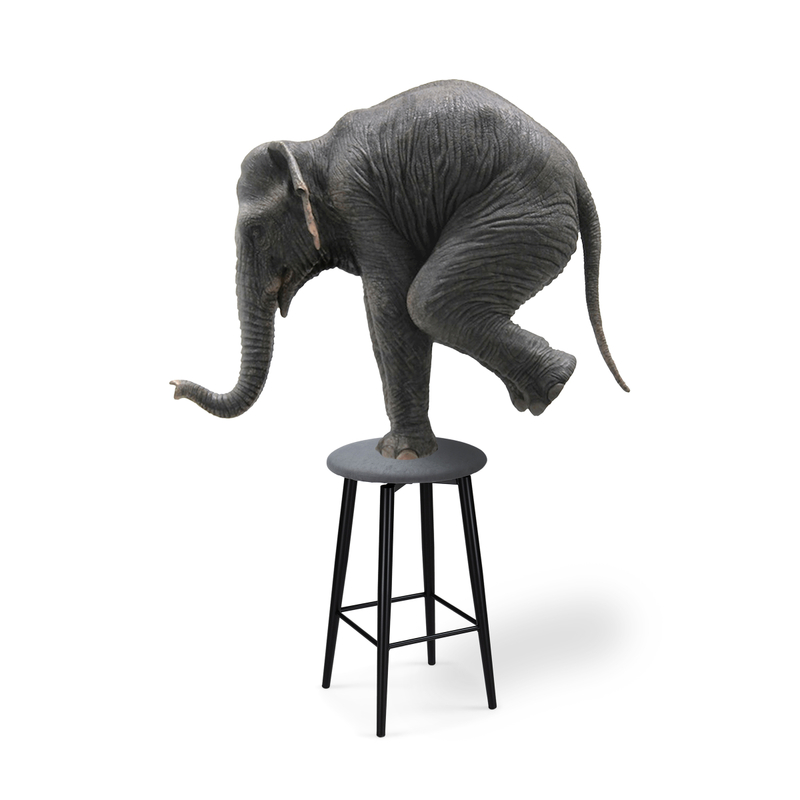 Барный стул, Гангток крутящийся сильвер / черный матовый