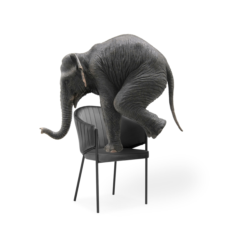 Стул на металлокаркасе, Kortni dark grey / black