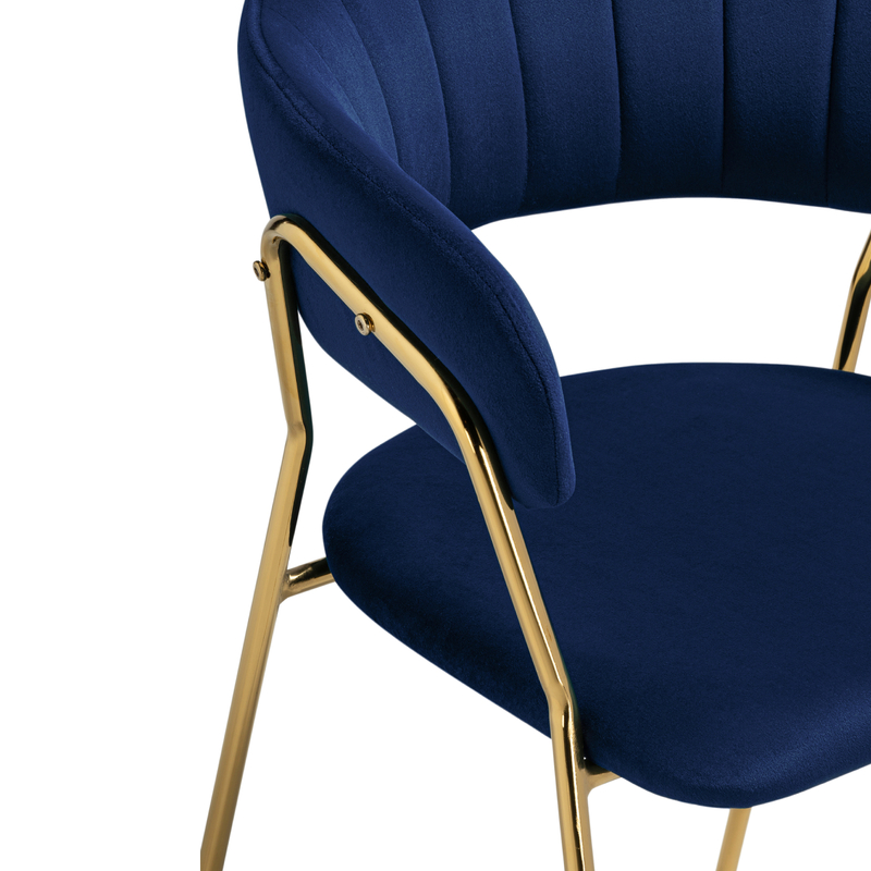 Стул на металлокаркасе, Kamelia 1 dark blue / gold