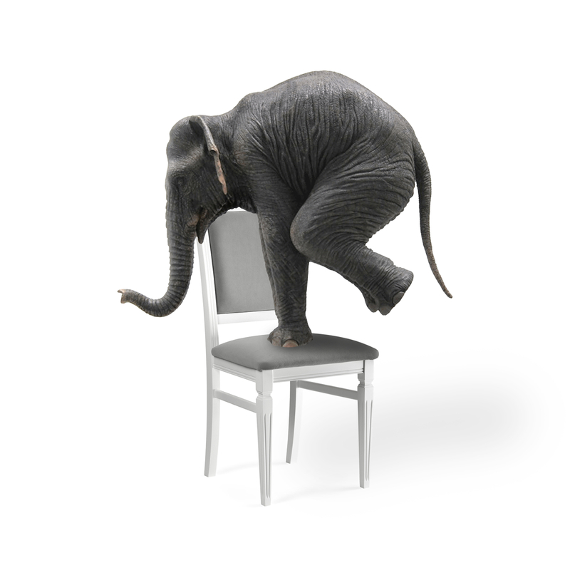 Стул деревянный, Арнол серый / белый