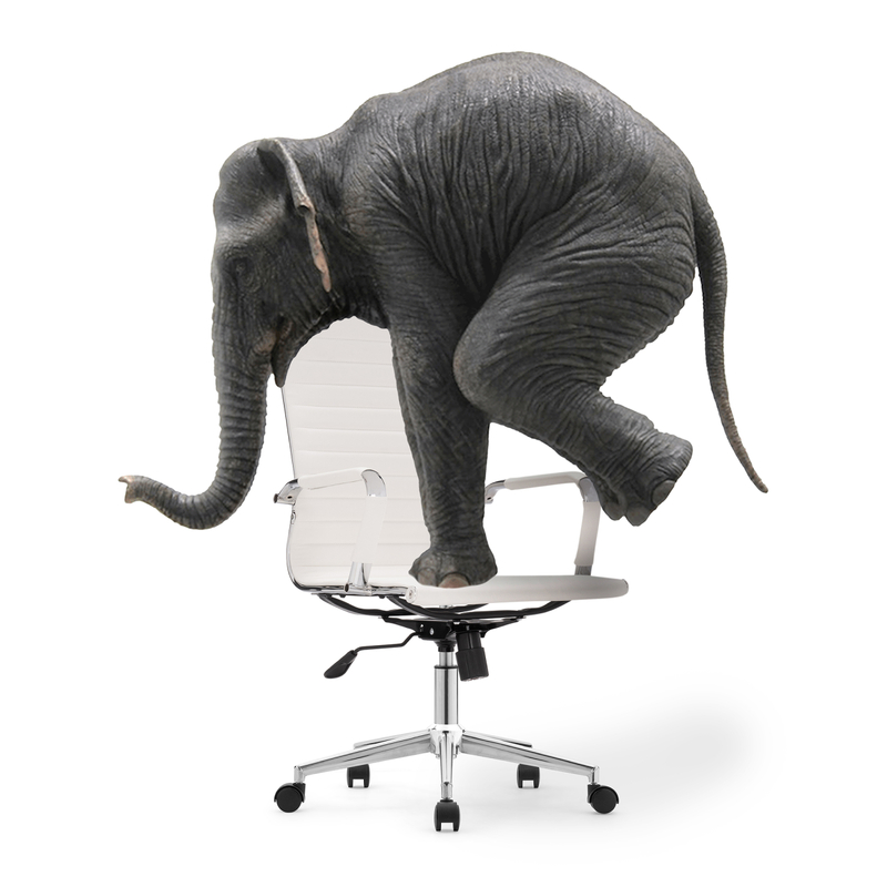 Компьютерное кресло, Reus pu white / chrome