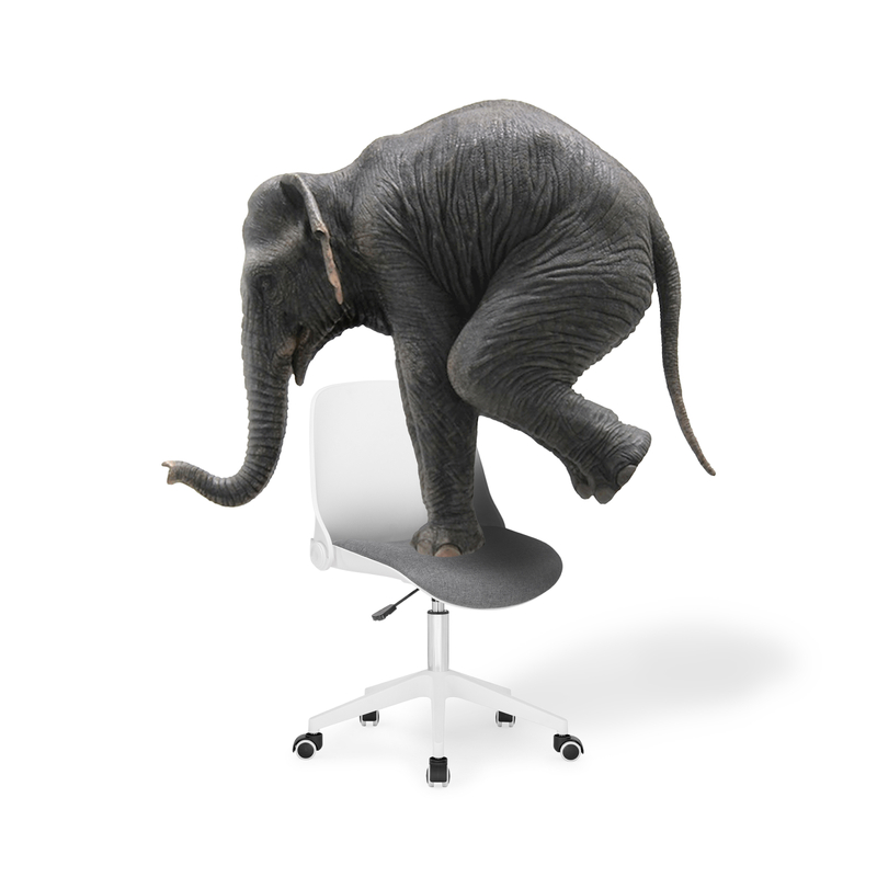 Компьютерное кресло, Zarius gray / white