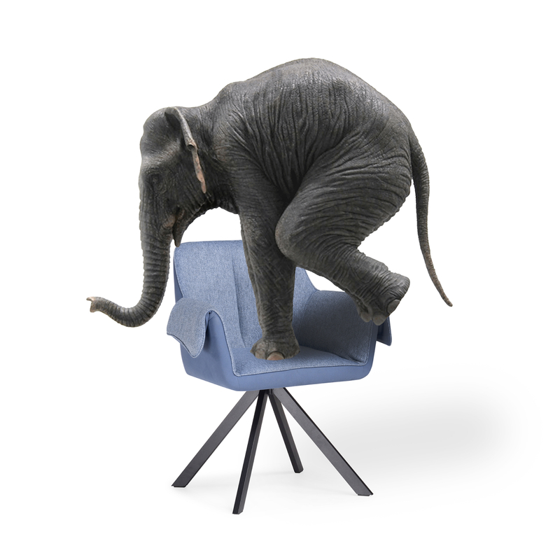 Стул на металлокаркасе, Каита neptun 35 / flex 754 / черный