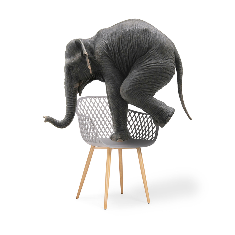 Пластиковый стул, Rikon gray / wood