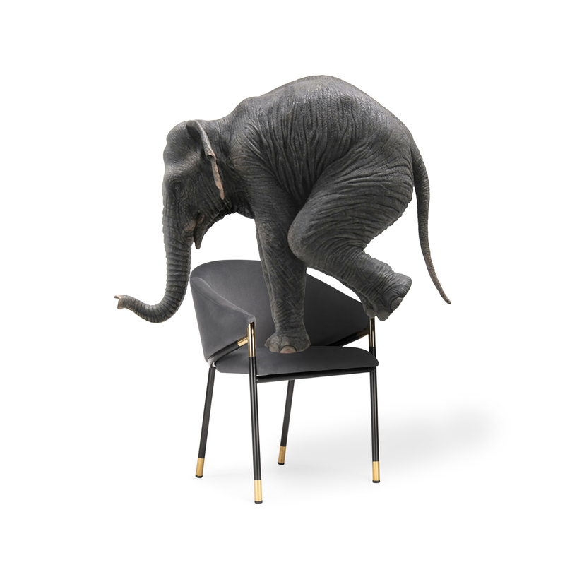 Стул на металлокаркасе, Molton gray / black/ gold