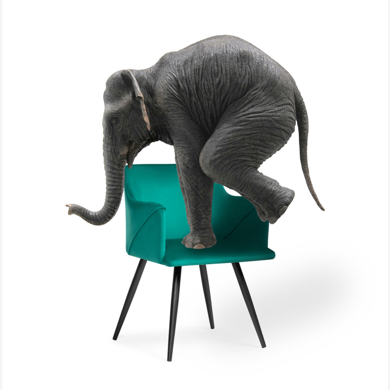 Стул на металлокаркасе, Эджелл зеленый / черный