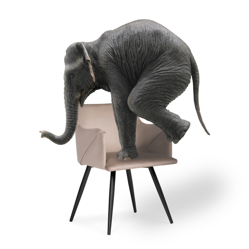 Стул на металлокаркасе, Эджелл латте / черный