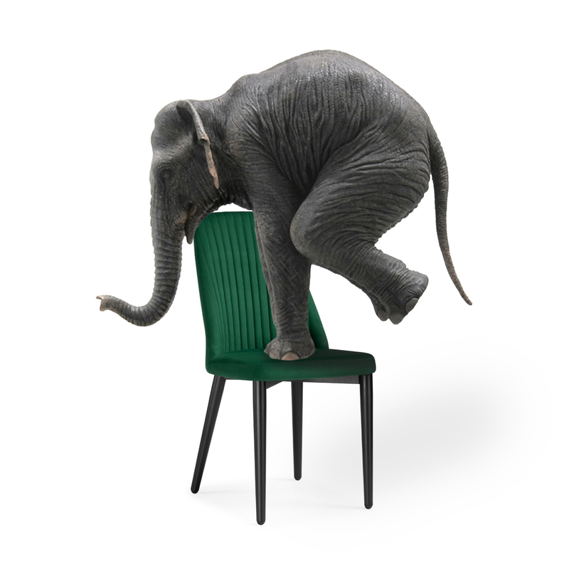 Стул на металлокаркасе, Фена R зеленый / черный