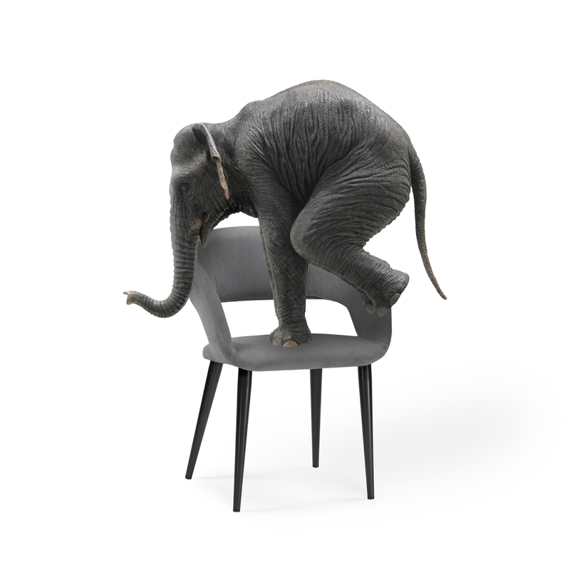 Стул на металлокаркасе, Торган катания сильвер