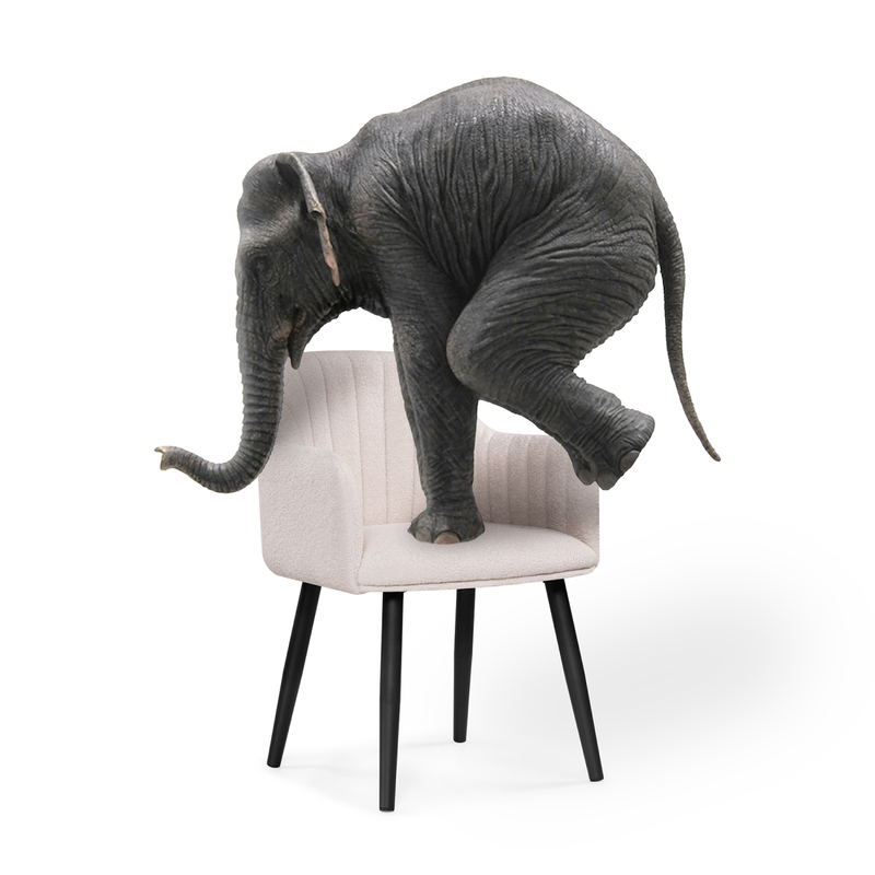 Стул на металлокаркасе, Халли lamb 19 / черный