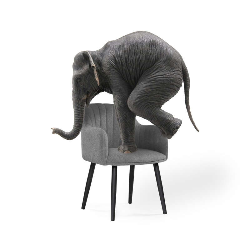 Стул на металлокаркасе, Халли lamb 11 / черный