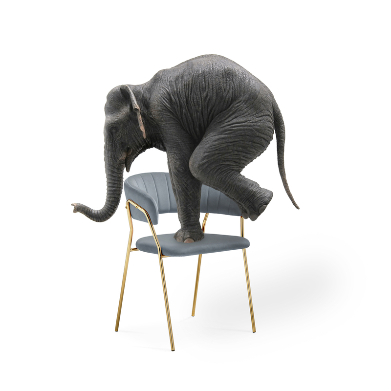 Стул на металлокаркасе, Kamelia 1 gray / gold