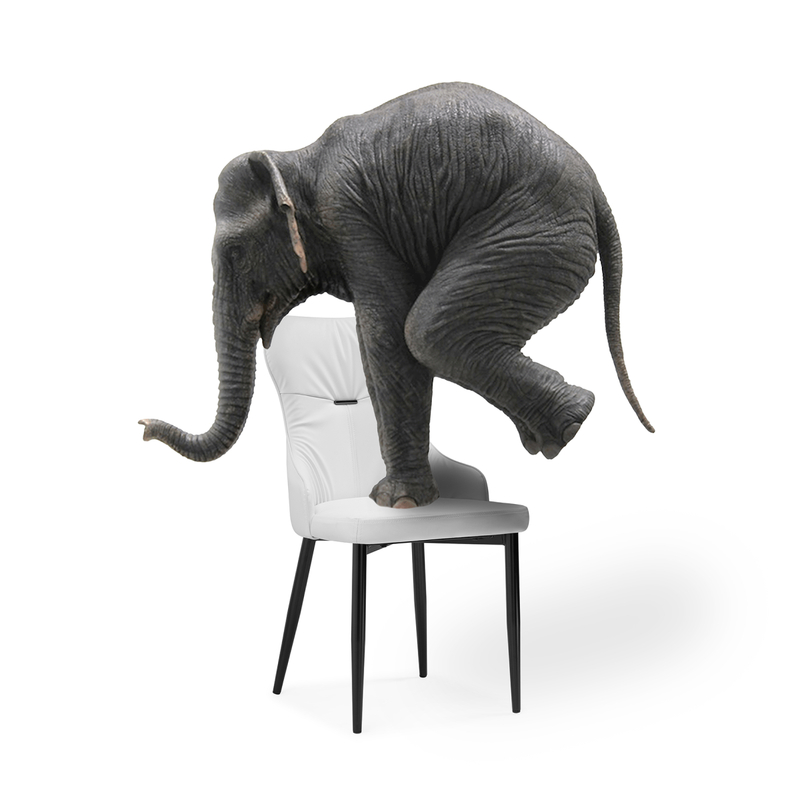 Стул на металлокаркасе, Neli white / black