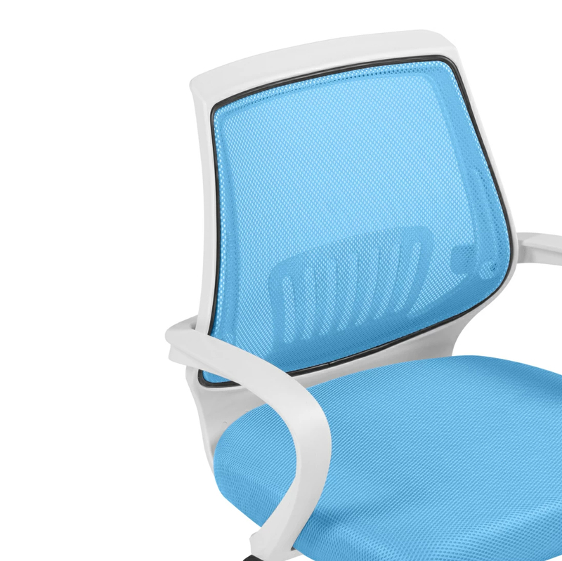 Компьютерное кресло, Ergoplus blue / white