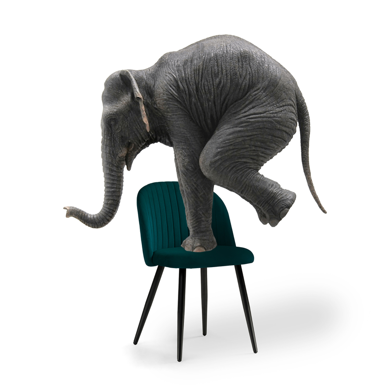 Стул на металлокаркасе, Gabi 1 green / black