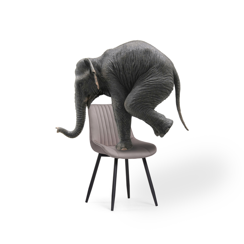 Стул на металлокаркасе, на металлокаркасе Седа К латте / черный