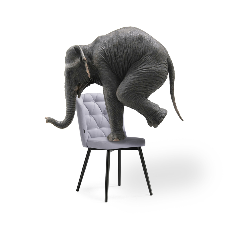 Стул на металлокаркасе, Алиссум velutto 49 / черный