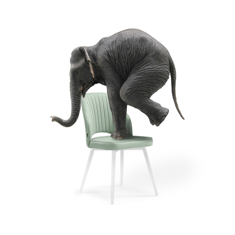 Стул на металлокаркасе, Брейния velutto 14 / белый