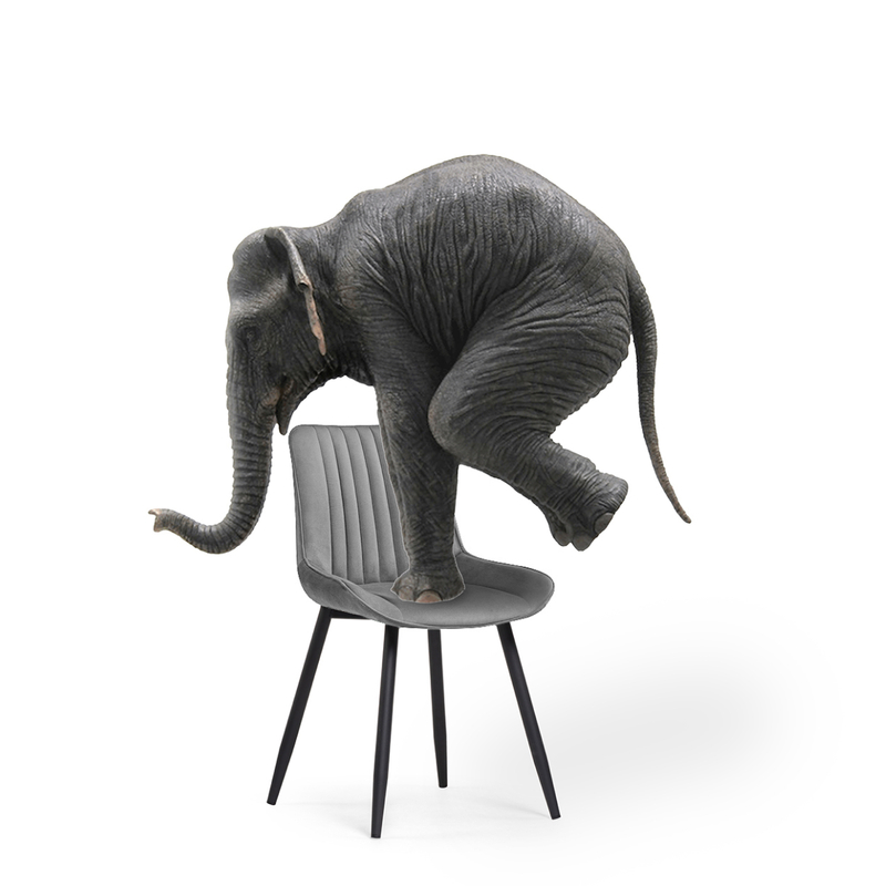 Стул на металлокаркасе, Седа темно-серый / черный