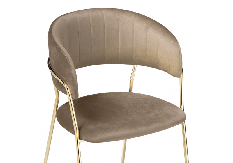Стул на металлокаркасе, Kamelia cappuccino / gold