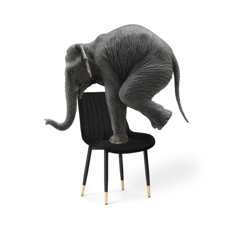 Стул на металлокаркасе, Seda-1 black / gold / black