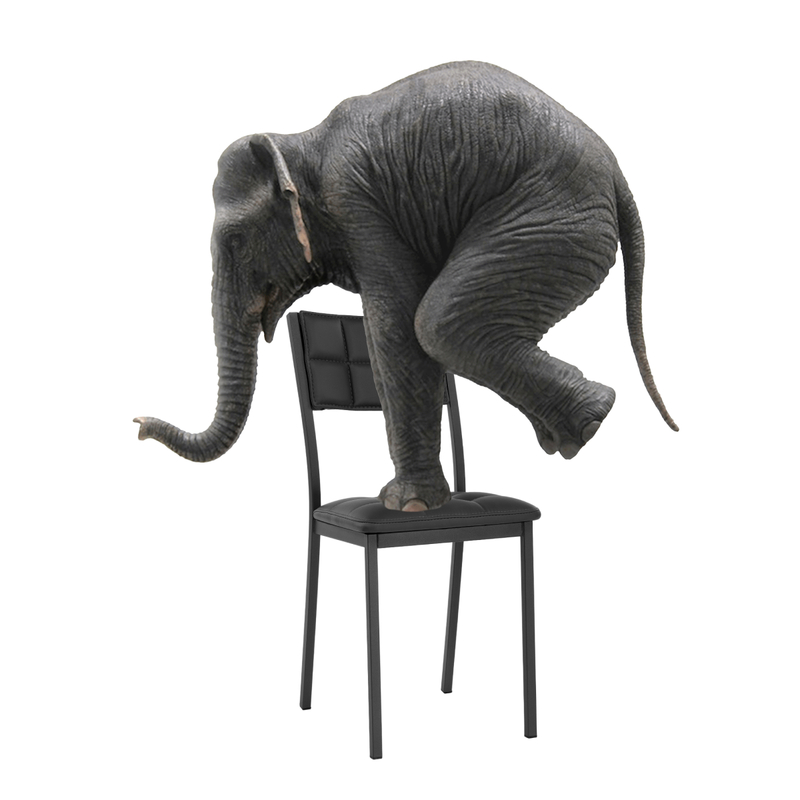 Стул на металлокаркасе, Бекал черный / черный матовый