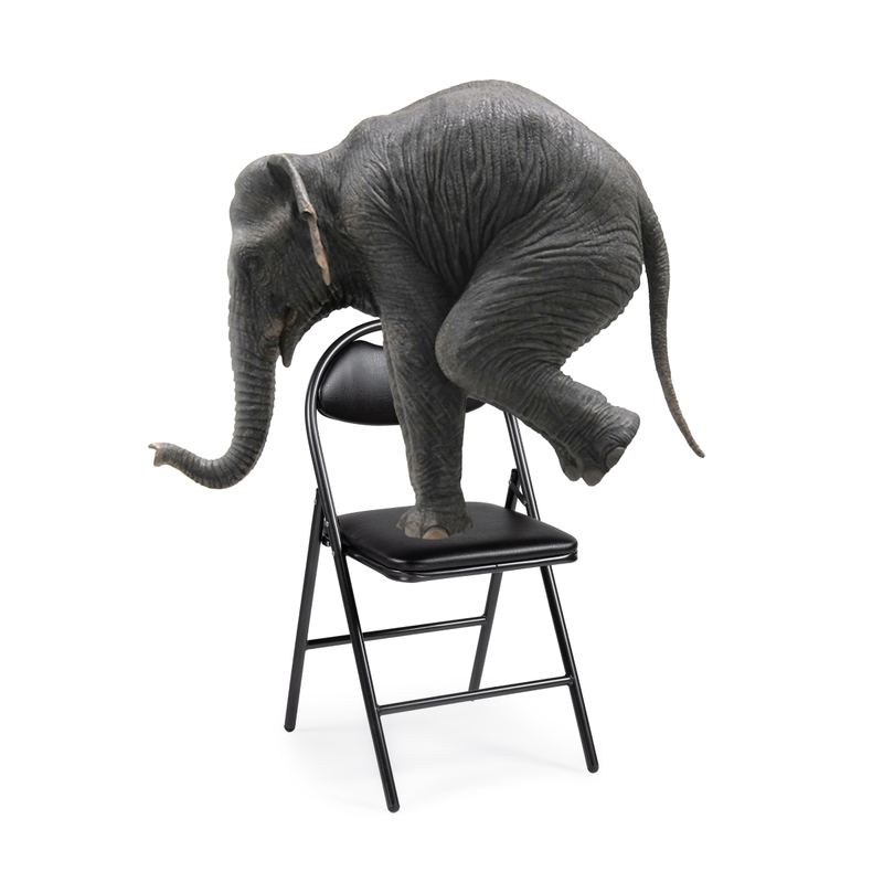 Стул на металлокаркасе, Gikat черный / темный мусс