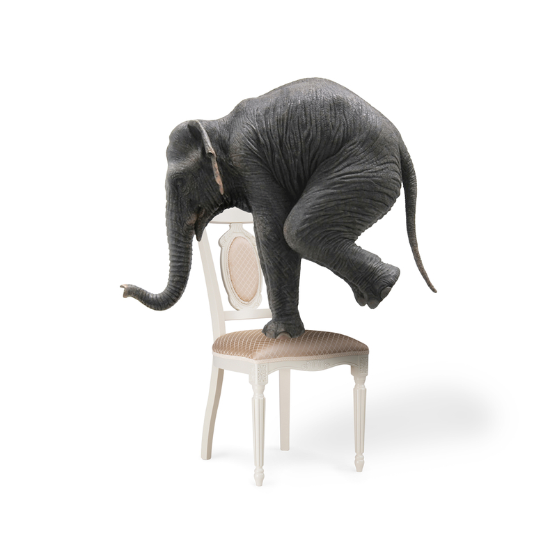 Стул деревянный, Лино молочный / ромб 02