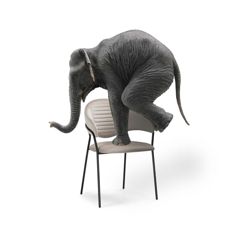 Стул на металлокаркасе, Рансол дымчатый / черный глянец