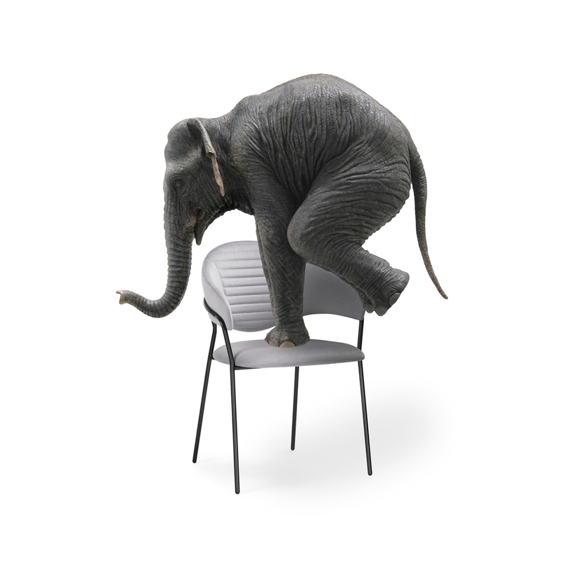 Стул на металлокаркасе, Рансол серый / черный глянец