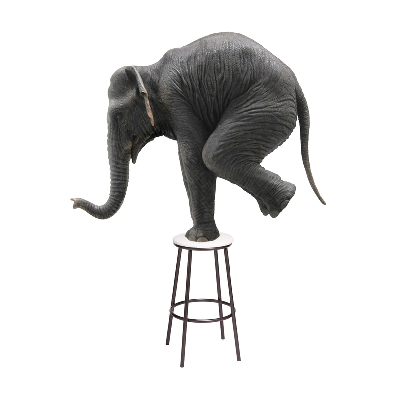 Барный стул, Drezegomad белый / темный мусс