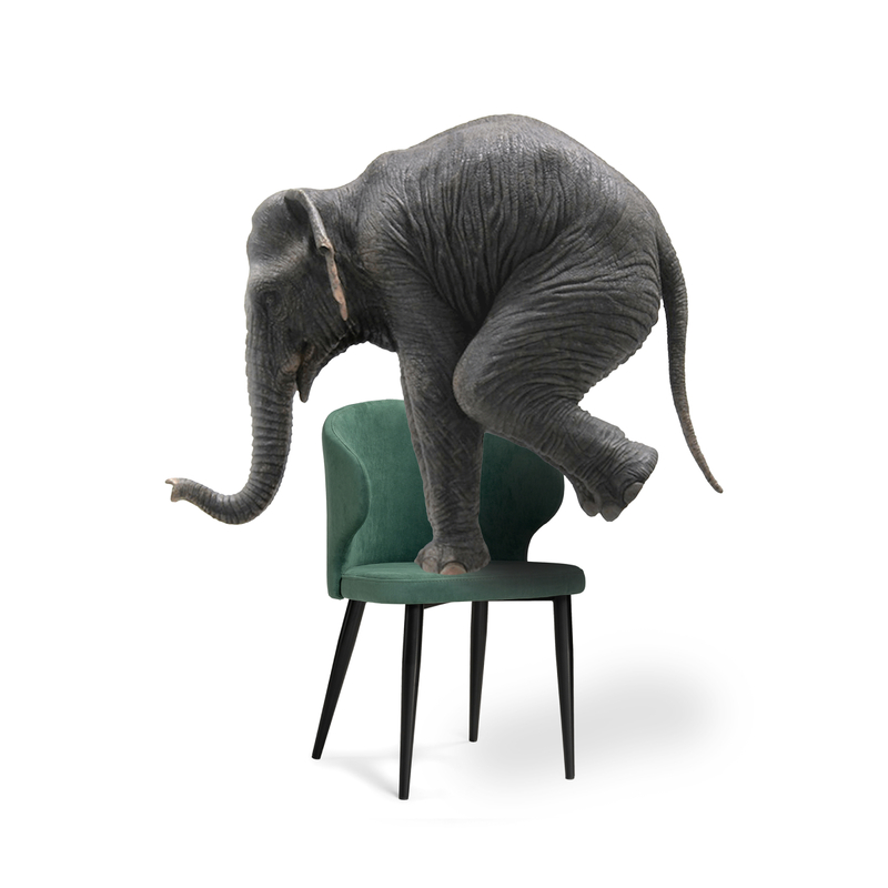 Стул на металлокаркасе, Алсисар катания изумруд / черный