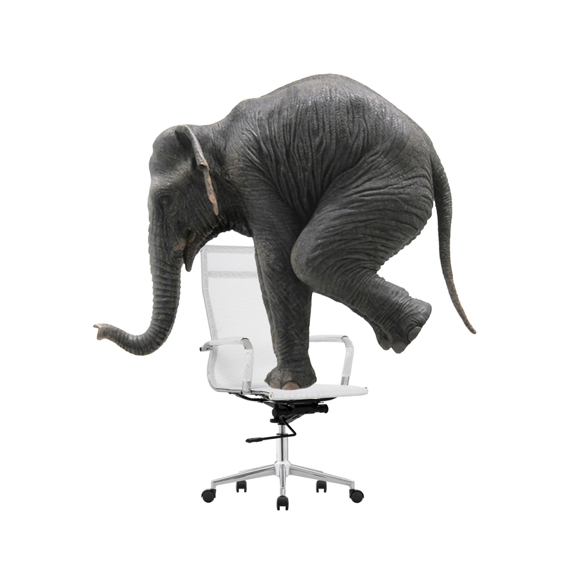 Офисное кресло, Reus сетка white