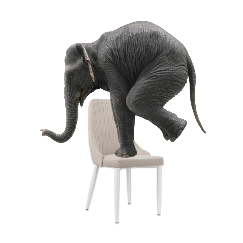 Стул на металлокаркасе, Kora white / beige