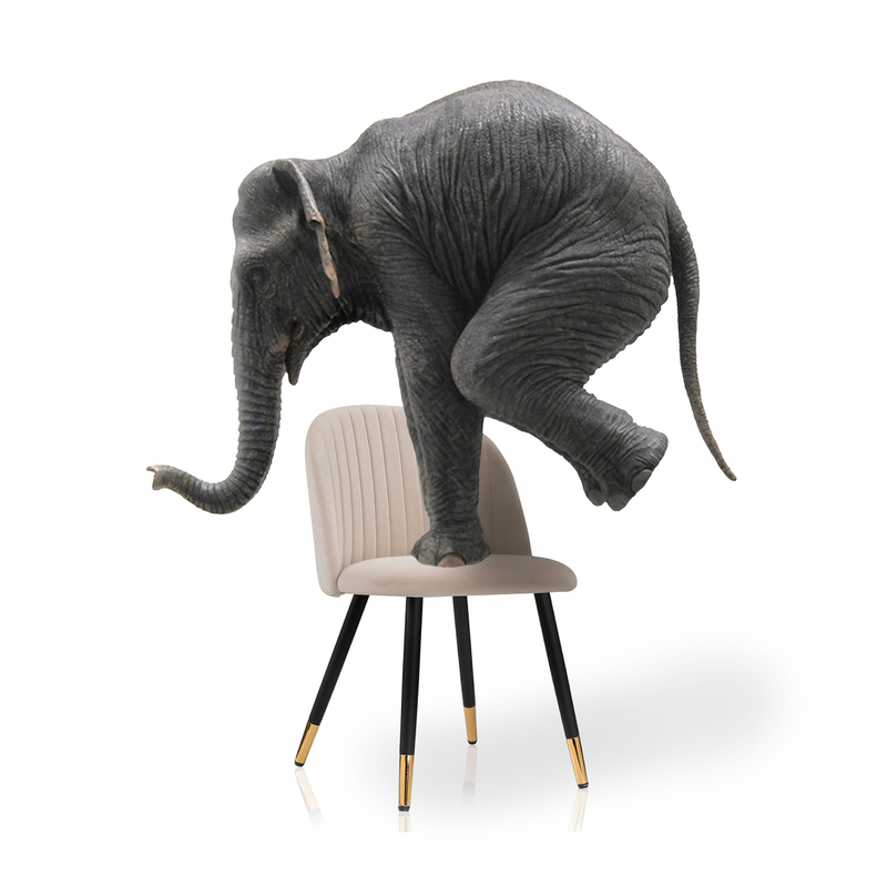 Стул на металлокаркасе, Gabi beige / black / gold