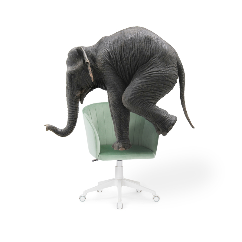 Офисное кресло, Тибо confetti aquamarine