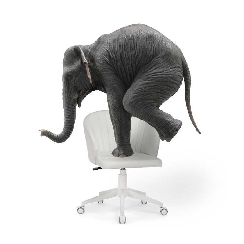 Офисное кресло, Пард экокожа белый