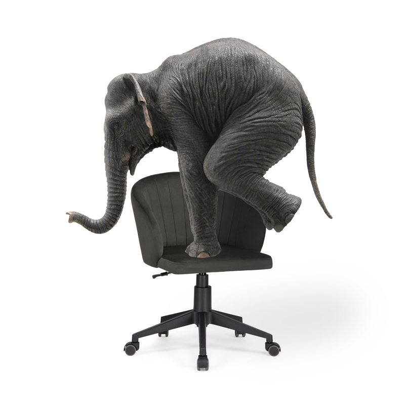 Офисное кресло, Пард графитовый