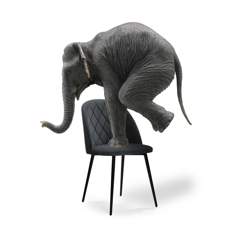 Стул на металлокаркасе, Зест микровелюр серый / черный глянец