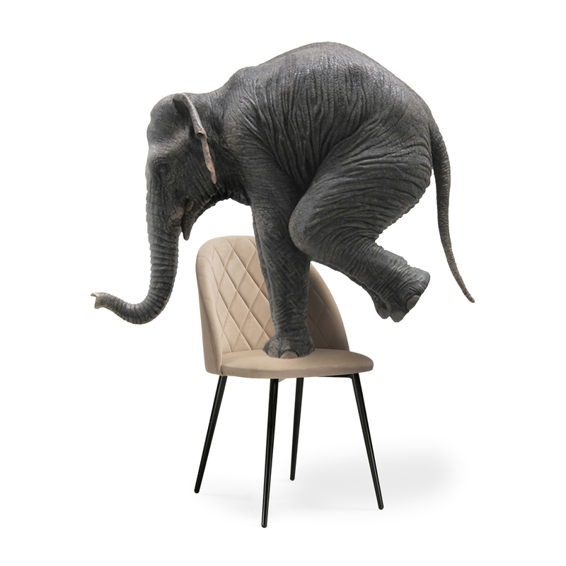 Стул на металлокаркасе, Зест микровелюр 05 / черный глянец