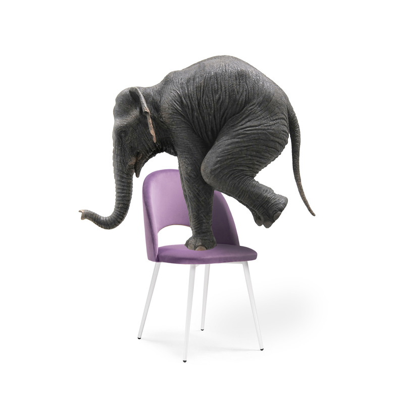 Стул на металлокаркасе, Ирре сиреневый / белый глянец