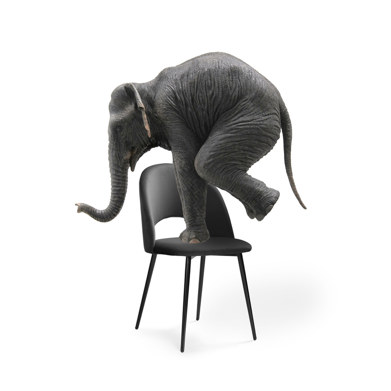 Стул на металлокаркасе, Ирре графитовый / черный глянец