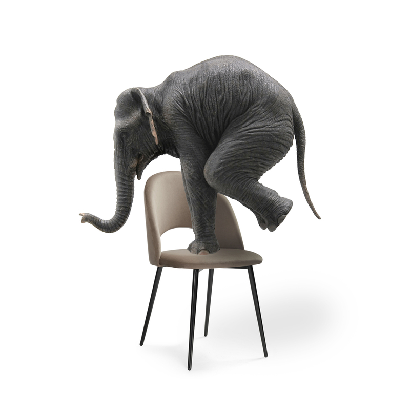 Стул на металлокаркасе, Ирре светло-коричневый / черный глянец